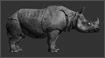 Character - Rhino