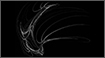 Fractals - Phoenix