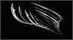 Fractals - Wings