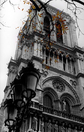 Black & White Photography - Notre Dame