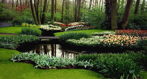 Color Photography - Dutch Tulip Festival